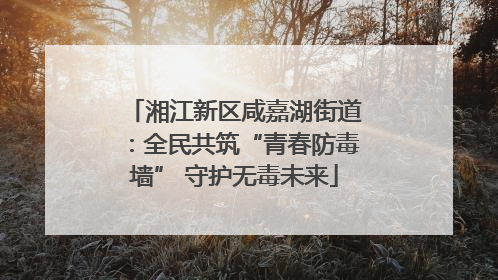 湘江新区咸嘉湖街道：全民共筑“青春防毒墙” 守护无毒未来